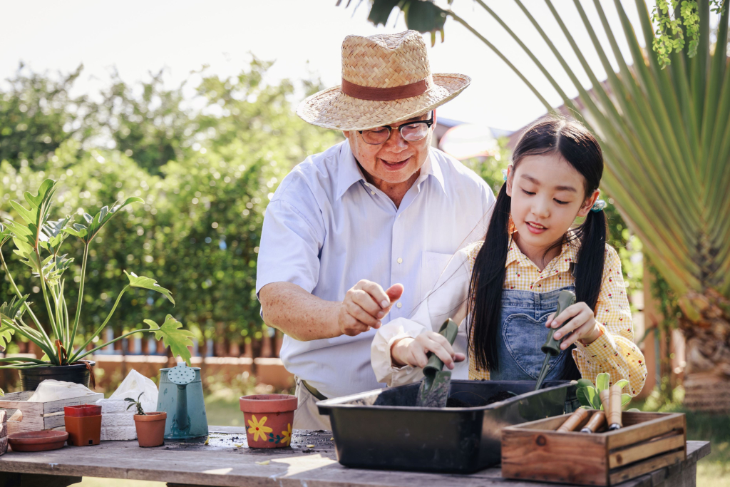 Actividades al aire libre para personas mayores